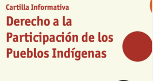 Cartilla Informativa: Derecho a la Participación de los Pueblos Indígenas.