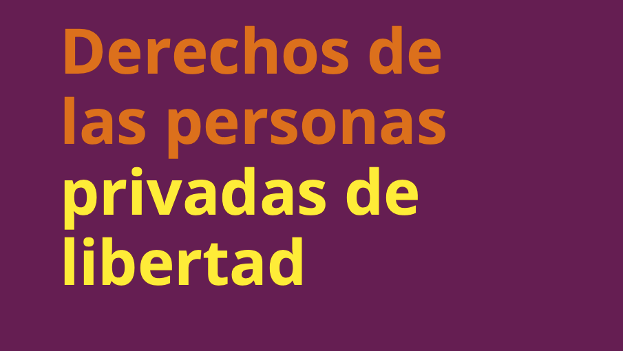 Texto: "Derechos de las personas privadas de libertad" sobre fondo púrpura.