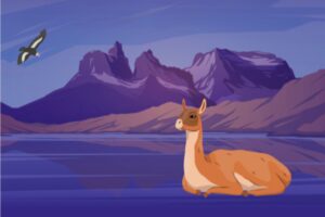 Ilustración de un guanaco descansando junto a un lago, con montañas al fondo y un cóndor volando en el cielo.