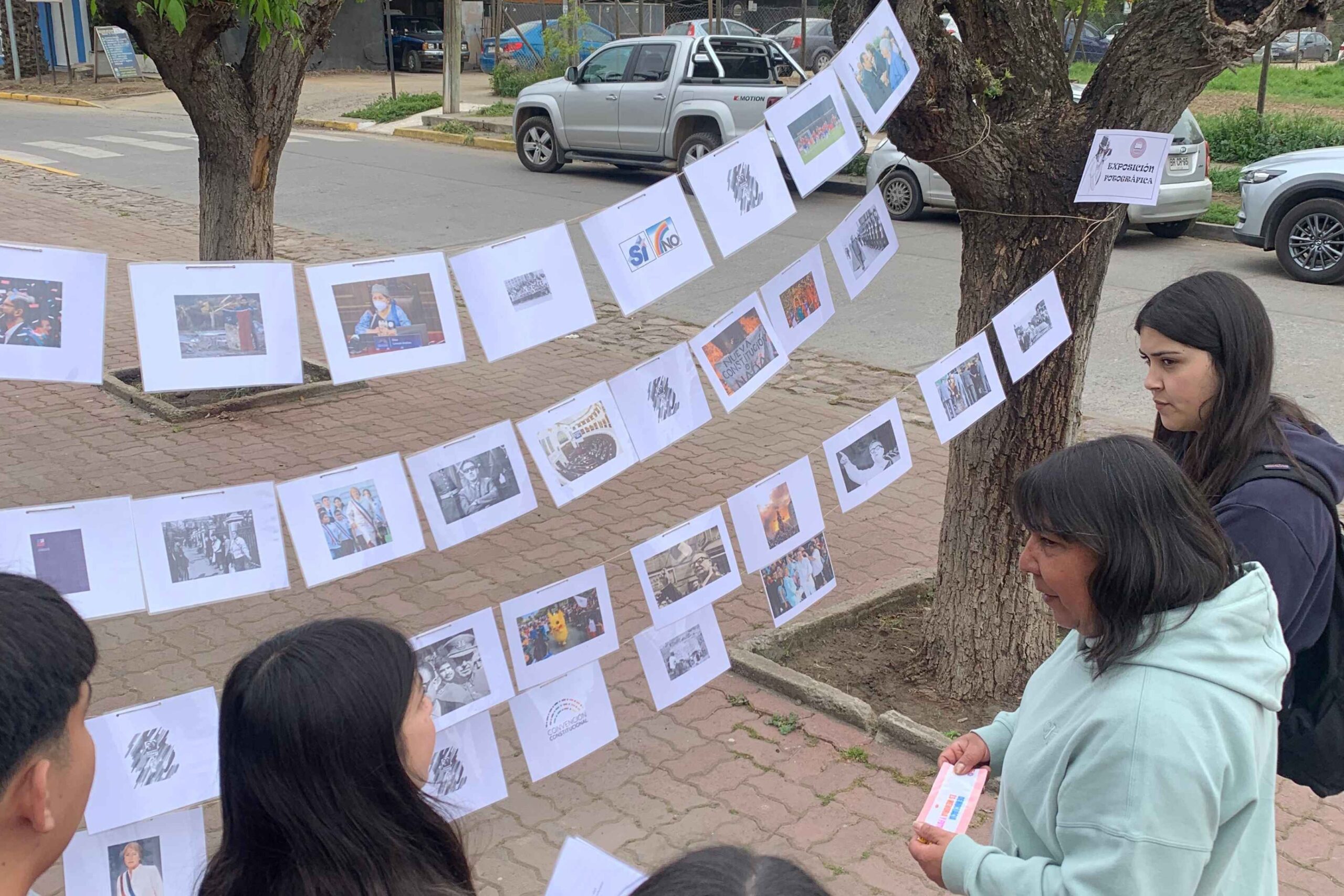 Personas mirando una exposición de imágenes colgadas entre árboles en una acera.