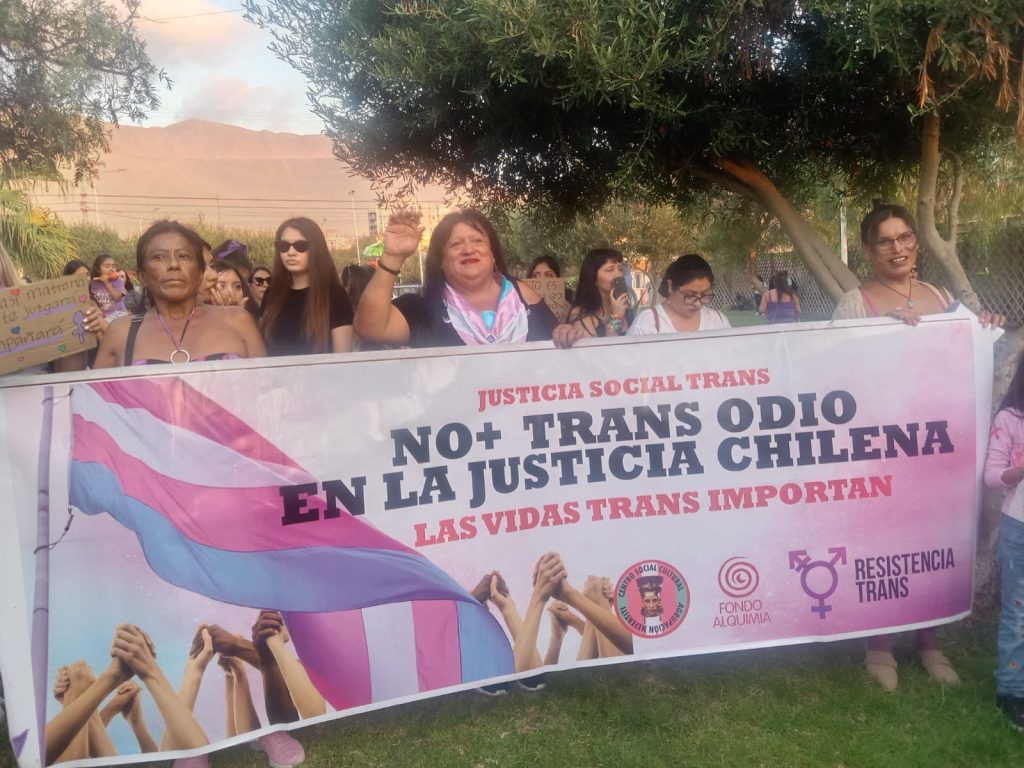 Personas sostienen una pancarta que dice "No más transodio en la justicia chilena. Las vidas trans importan" en una manifestación, con una bandera trans visible. Al fondo hay más participantes y árboles.